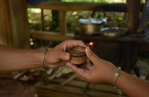 Rainforest Chocolat & La Fortuna Waterfall Adventure