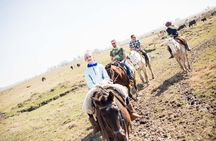 Private Gaucho Day with Estancia and Areco town