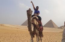 All Inclusive Half-Day Private Tour to Giza Pyramids and Sphinx including Lunch 