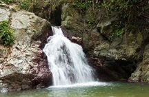 Rainforest Tour