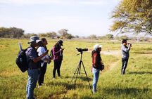 Nature tour, Pómac Forest with picnic breakfast included.