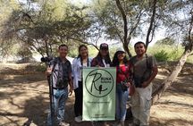 Nature tour, Pómac Forest with picnic breakfast included.
