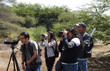 Nature tour, Pómac Forest with picnic breakfast included.
