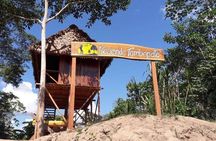 Macaw Collpa & Sandoval Lake 4 Days / 3 Nights