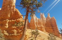 Small Group Bryce Canyon & Zion National Park Tour from Las Vegas