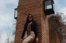 Concha y Toro Vineyard Traditional Tour