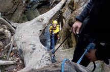Juggler Canyon and Abseiling Adventure Blue Mountains