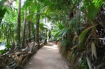  Palms and Pearls Full Day Tour