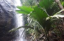  Palms and Pearls Full Day Tour