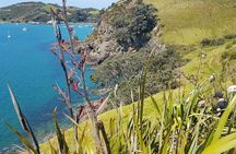 3 Day 2 Night Waiheke Walking Holiday 