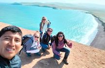 Paracas National Reserve Tour