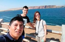 Paracas National Reserve Tour