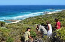 Margaret River Coastal and Wildlife Eco Trip from Busselton or Dunsborough