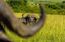 3 days Maasai Mara private safari at Sopa Lodge from Nairobi