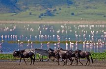 11-Days Best of Kenya & Tanzania Big 5 Safari on a 4x4 Jeep