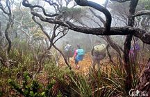 2d1n Mount Kinabalu Via Ferrata - Walk The Torq