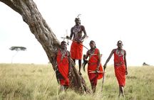 11-Days Best of Kenya & Tanzania Big 5 Safari on a 4x4 Jeep