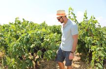 TARALVINO - Cantine Paololeo