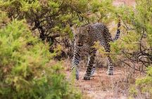 Private 3 Days Samburu National Park Safari All Inclusive