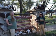 Serengeti Day Trip Safari From Mwanza Tanzania