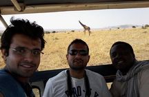 7 days safari to Amboseli, Naivasha, Lake Nakuru and Masai Mara National parks 