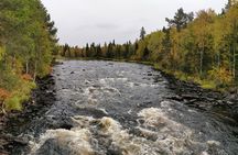 Rovaniemi: Vaattunkiköngäs Nature Trail Hiking Tour