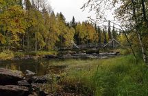 Rovaniemi: Vaattunkiköngäs Nature Trail Hiking Tour