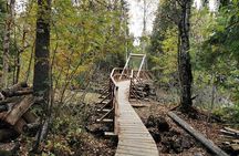 Rovaniemi: Vaattunkiköngäs Nature Trail Hiking Tour