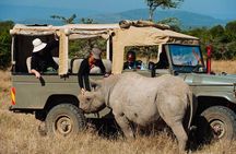 Ol Pejeta Conservancy and Chimpanzee Sanctuary Full-Day Tour from Nairobi
