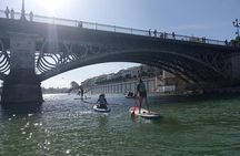 Guided paddle surf routes