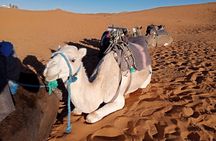 Overnight small group Desert From Fez to Fez