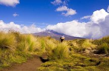 4 Days Trekking in Mount Kenya