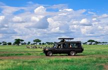 Amazing 2 Days Safaris To Serengeti From Mwanza Tanzania