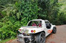 Island tour with the beach buggy