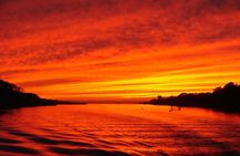 Dinner Cruise with Dolphin and Whale Watching from Cape May