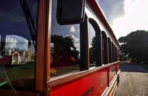 Cozumel City Tour By Trolley