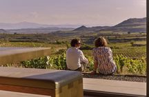 Rioja Wine Tour: wineries and Laguardia from San Sebastian