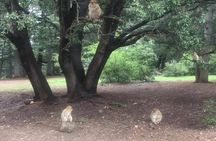 fes to middle atlas day trip