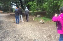 fes to middle atlas day trip