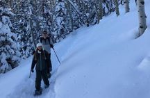 Private Park City Snowshoe Excursions (9:30am/12:30pm start time)
