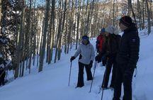 Private Park City Snowshoe Excursions (9:30am/12:30pm start time)
