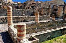 Half Day Herculaneum from Sorrento