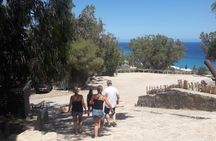 Guided Excursion Cap-Bon from Hammamet