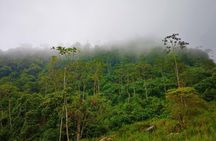Private Tour - Natural Bird Reserve - Proaves (Hiking/Trekking)