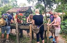 Immersive Coffee Farm Experience at Finca El Ocaso from Salento