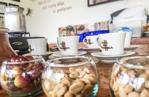 Immersive Coffee Farm Experience at Finca El Ocaso from Salento