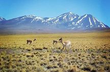 2 Tours Valley of the Moon and Hidden Lagoons