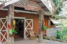 Sights & Bites Island Tour