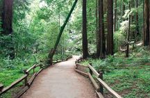 From San Francisco: Guided Tour to Muir Woods Coastal Redwoods