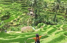 Bali Highlight Private Packages Tours 3 Days